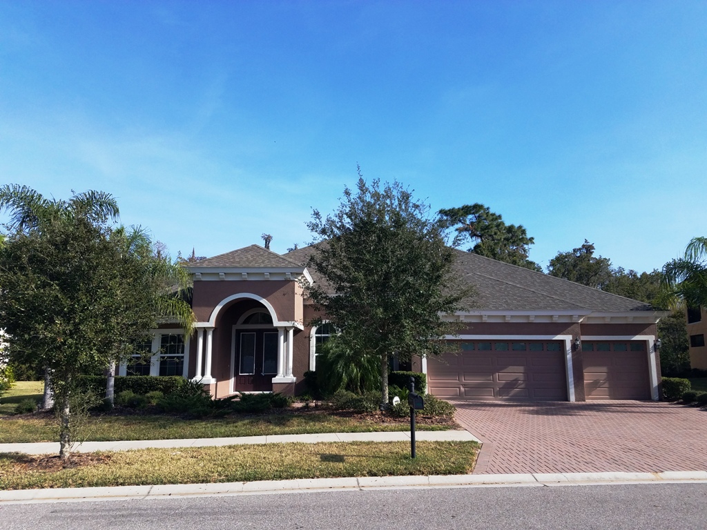 Looking for an Executive Style Home in New Tampa?