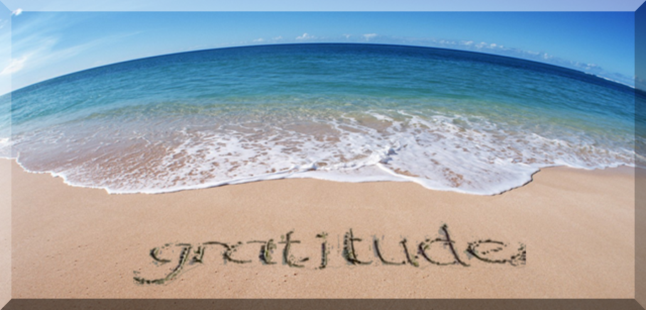 Focus on Gratitude You Cannot Go Wrong